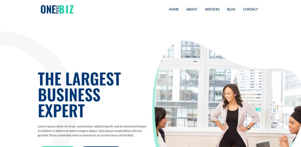 one page wordpress theme