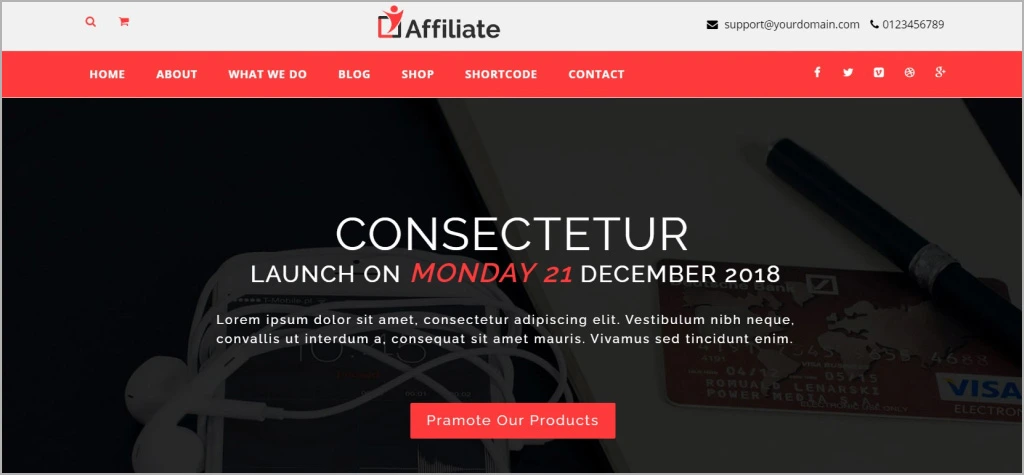 Affiliate Marketing WordPress Theme