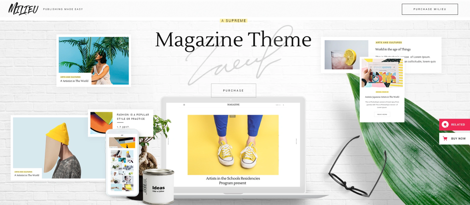 Milieu Social Media WordPress Theme