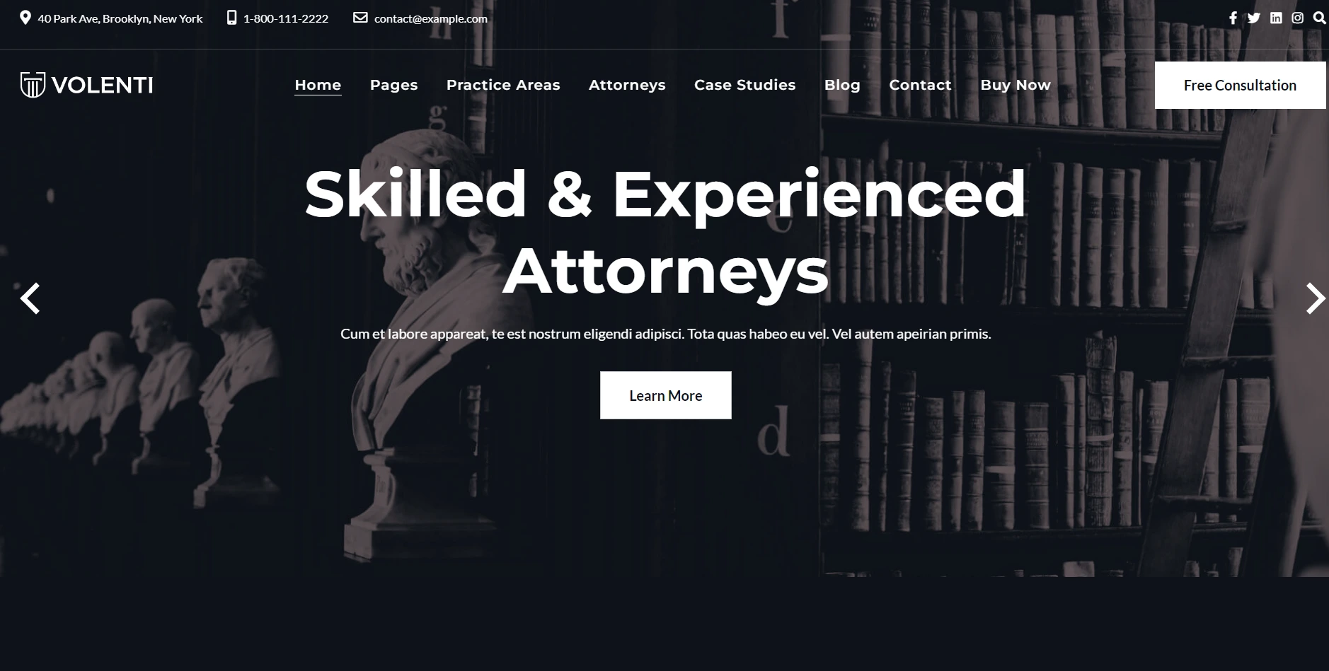 Volenti Eelementor WordPress Theme