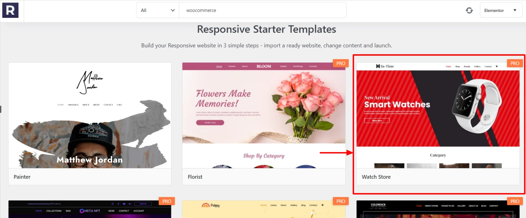 Watch store template