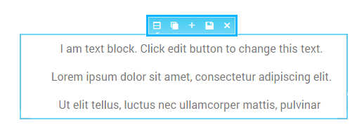 Section options