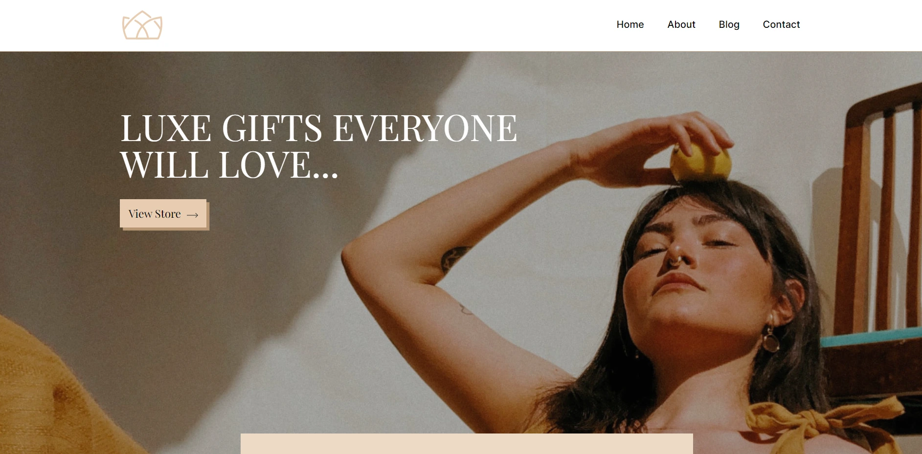 Influencer WordPress template