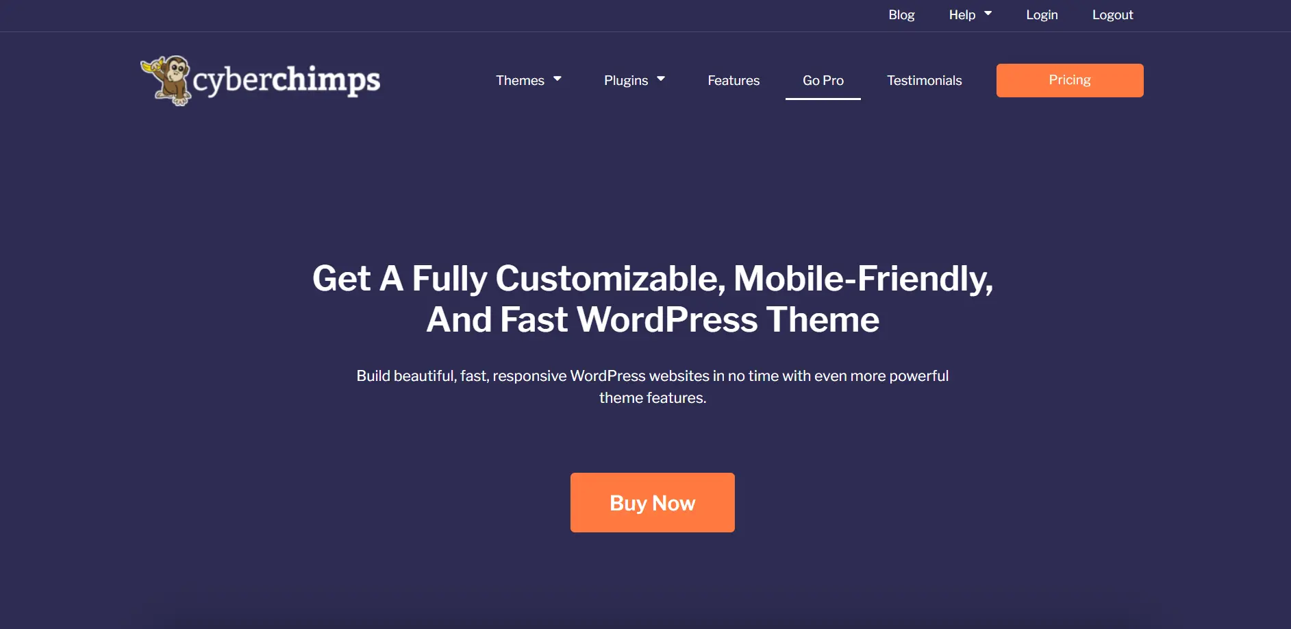 Responsive Pro WordPress Theme