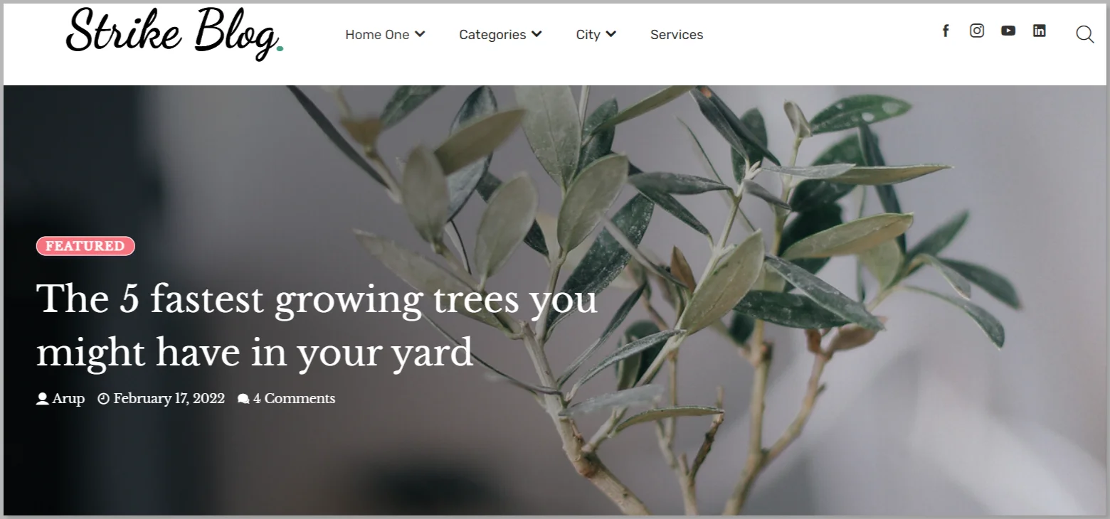 Strike-Blog WordPress theme