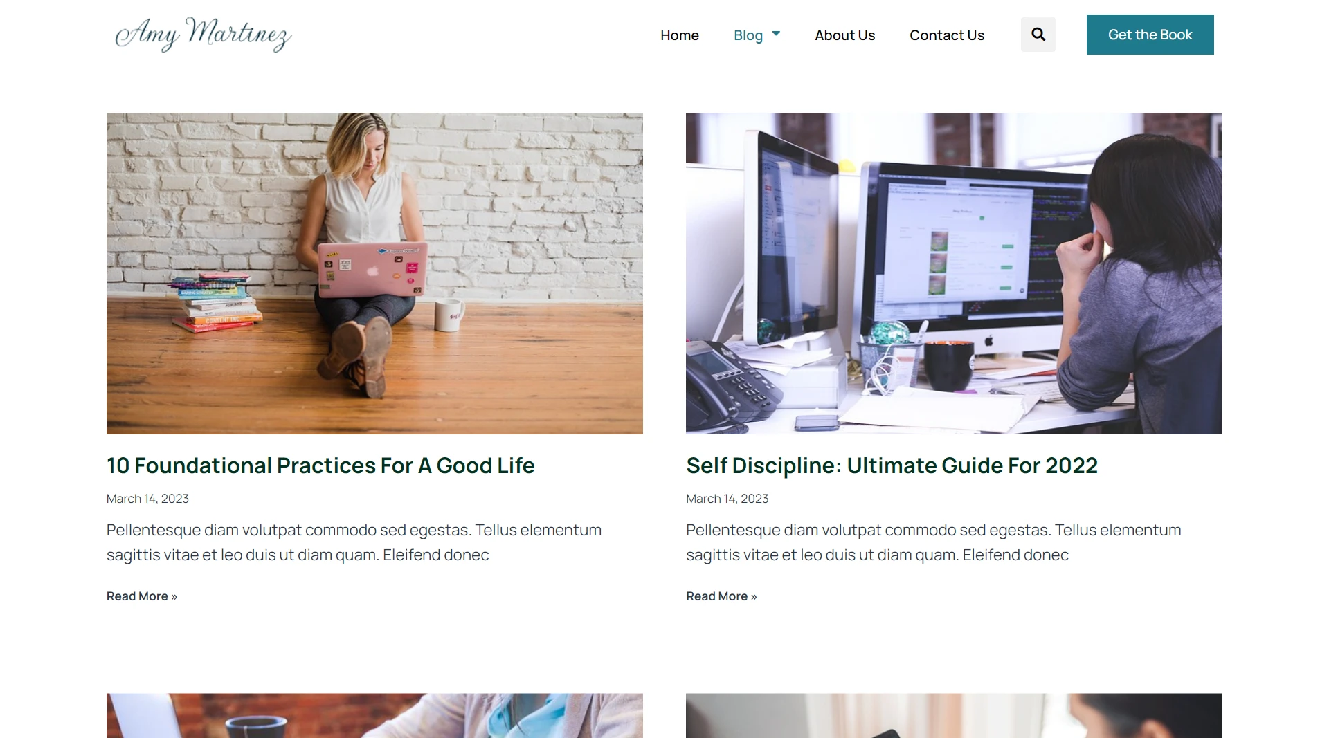 affiliate marketing theme