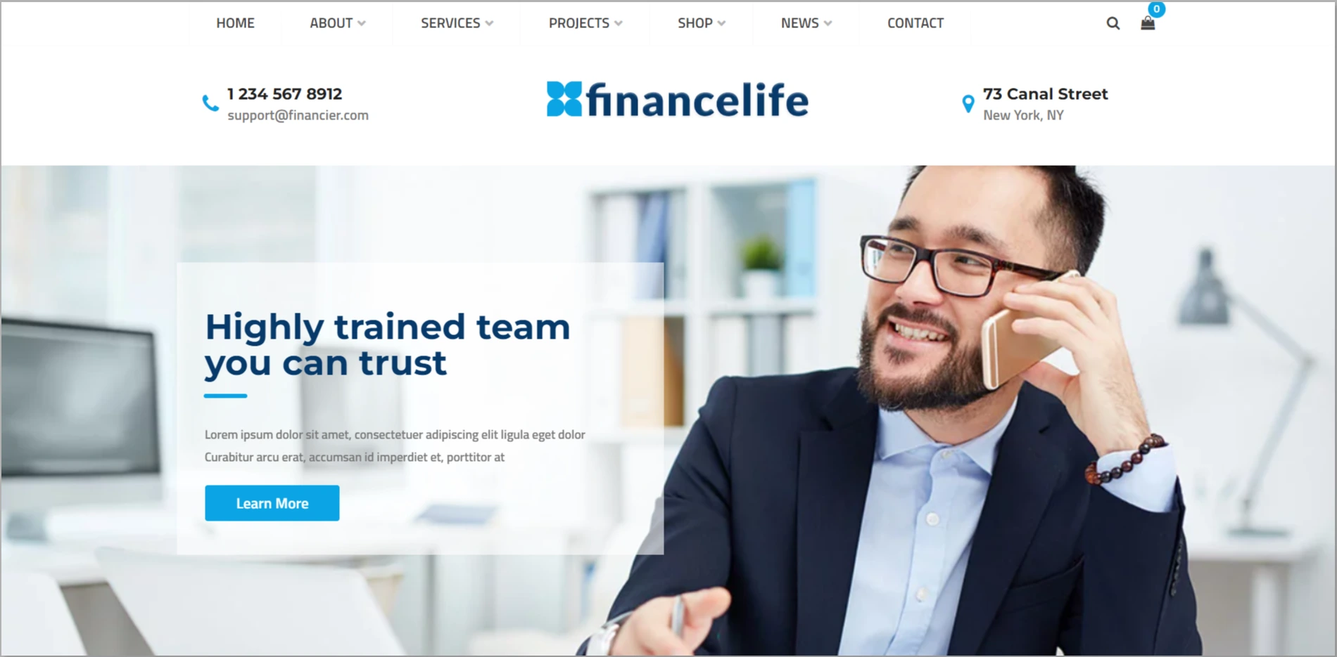 FinanaceLife WordPress Theme