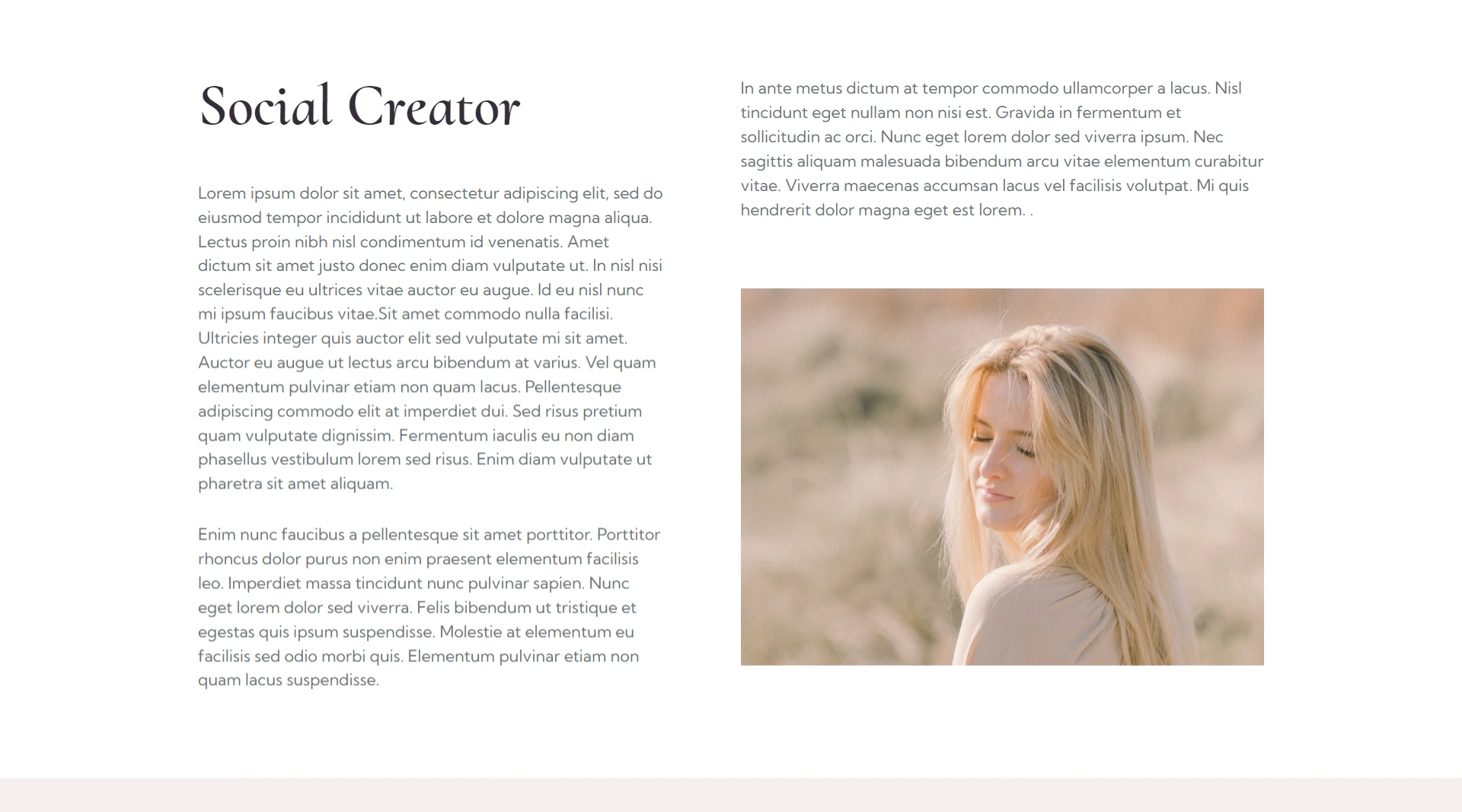 influencer wordpress theme