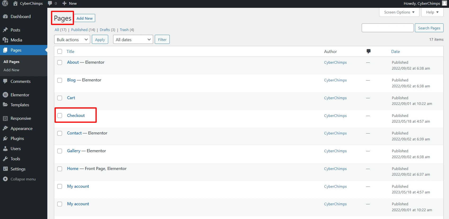 Checkout Page
