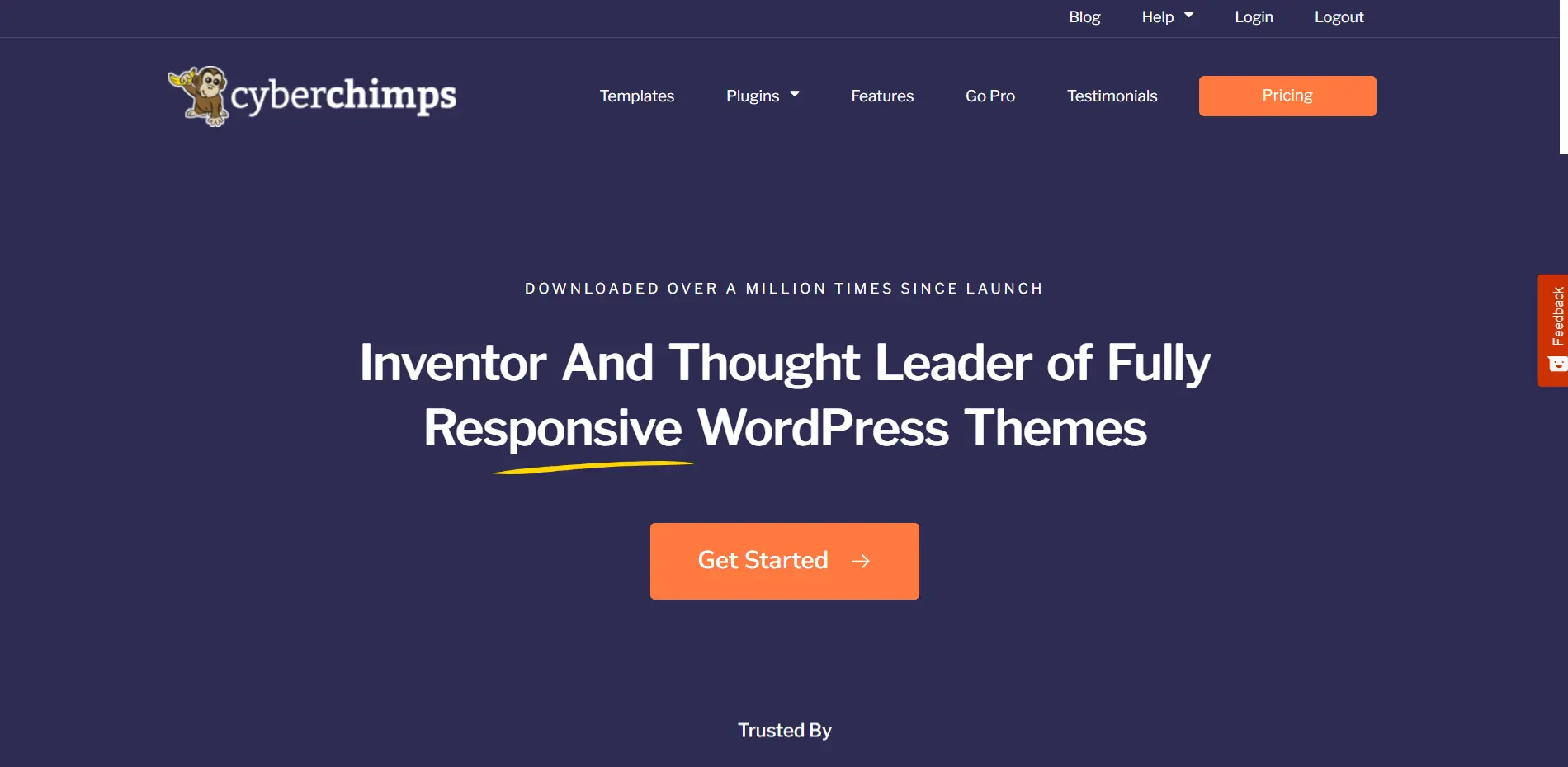 Responsive Pro Theme