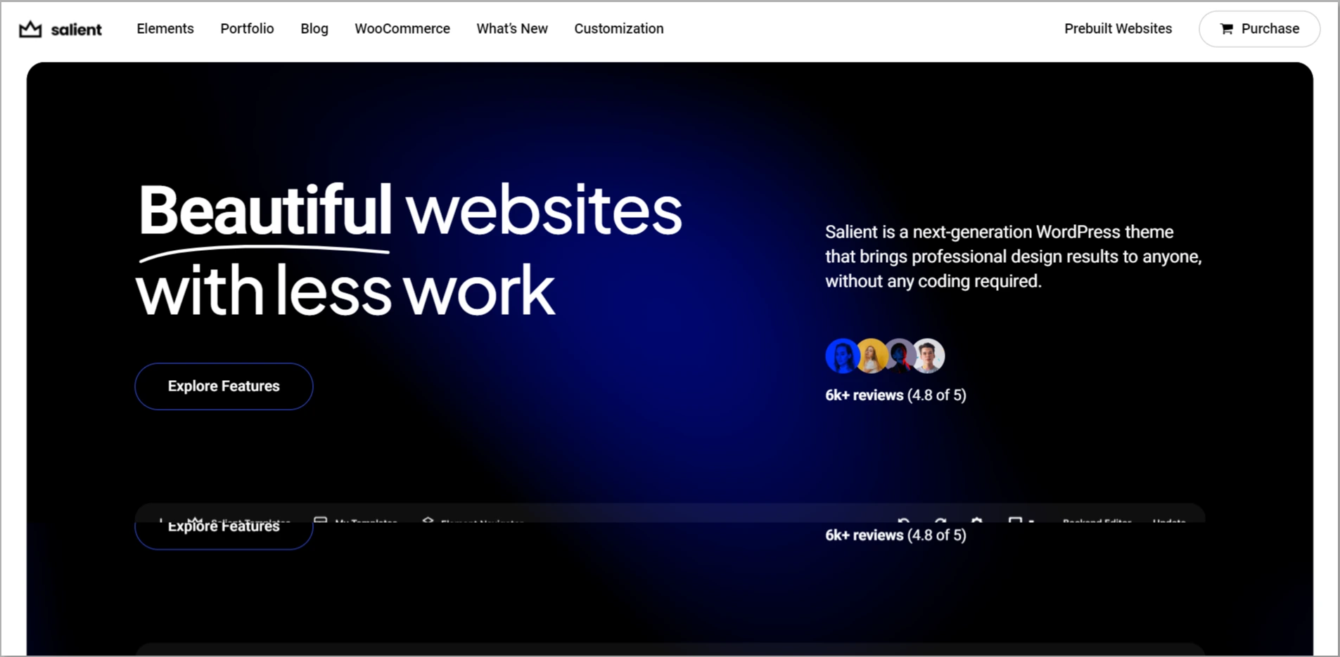 Salient WordPress Theme
