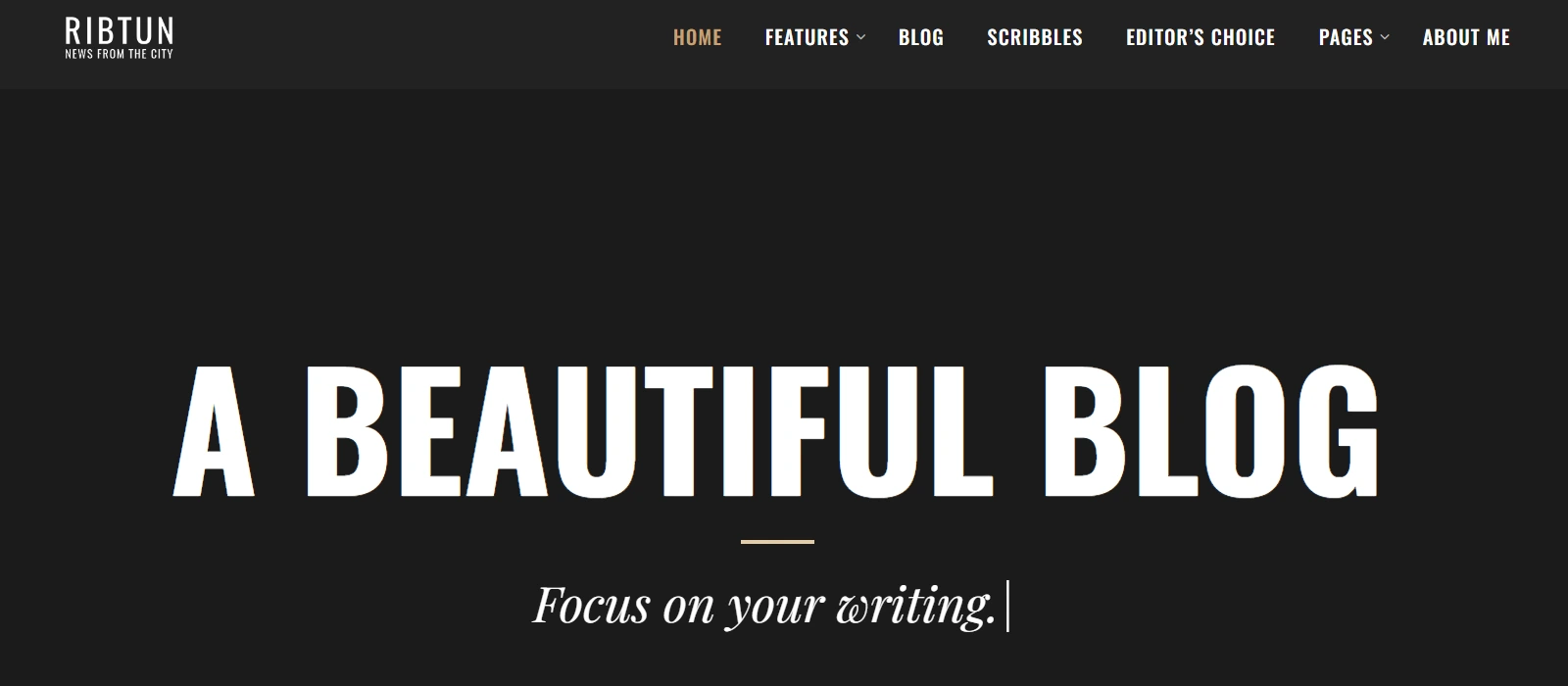 RibTun WordPress Themes for writers