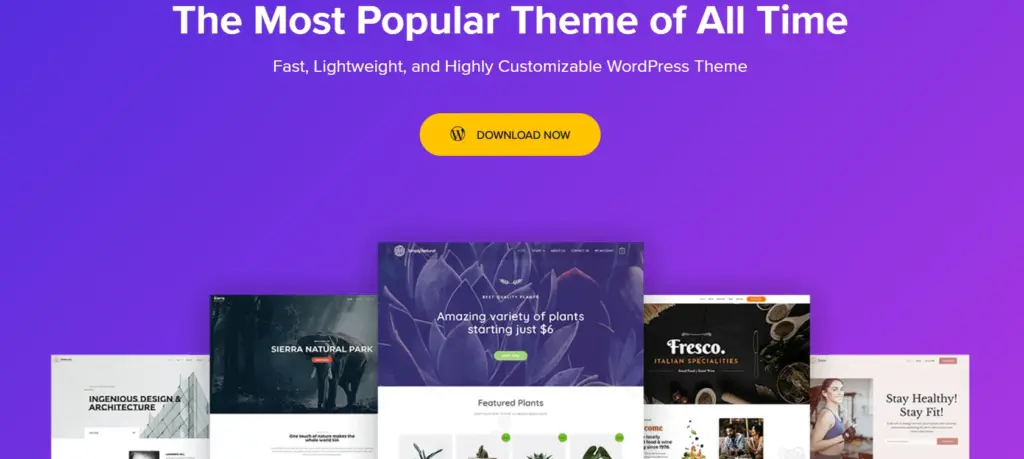 Astra theme
