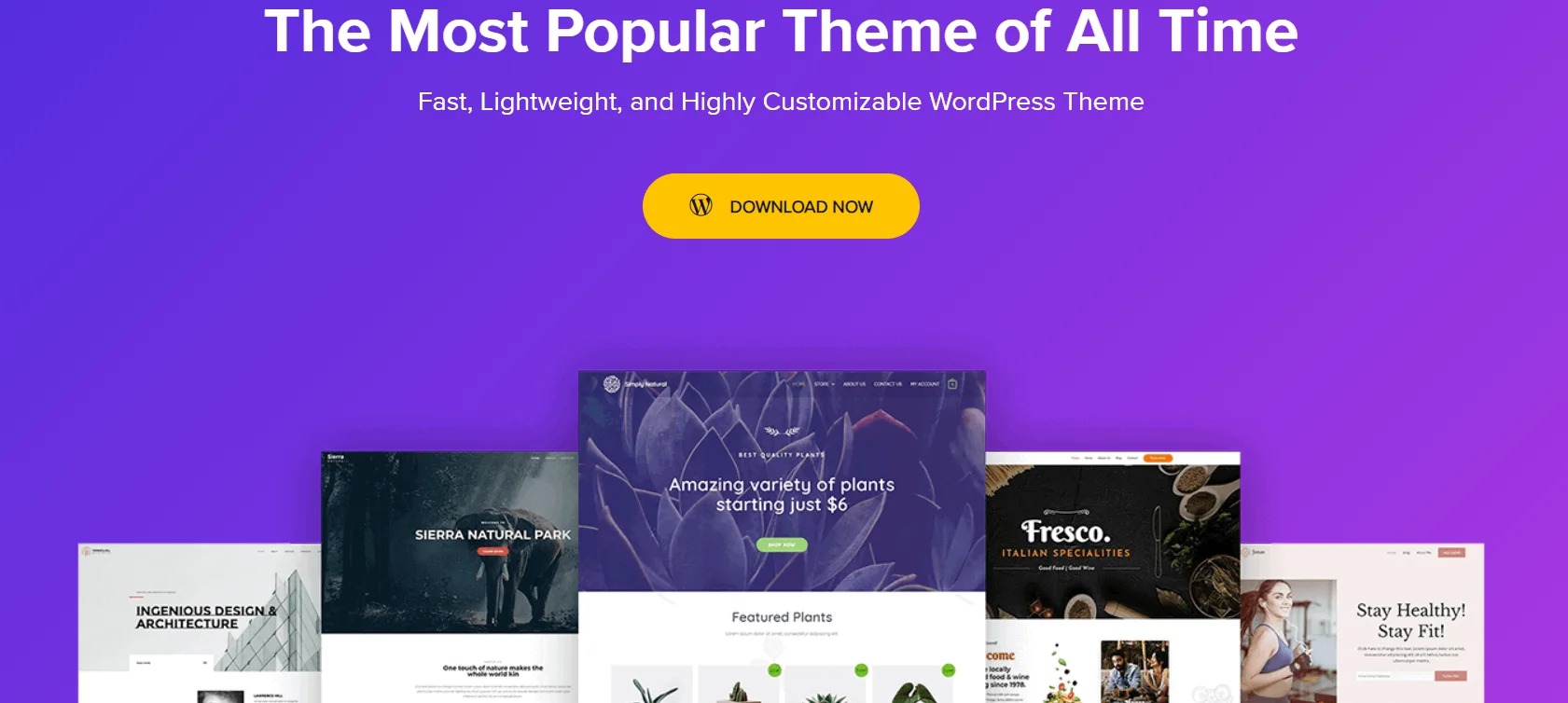 Astra theme
