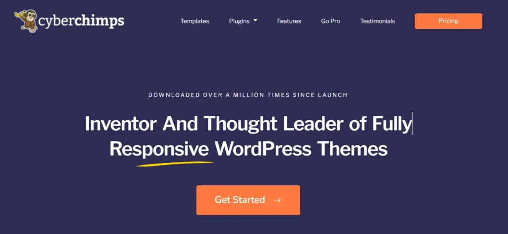 Responsive Theme 