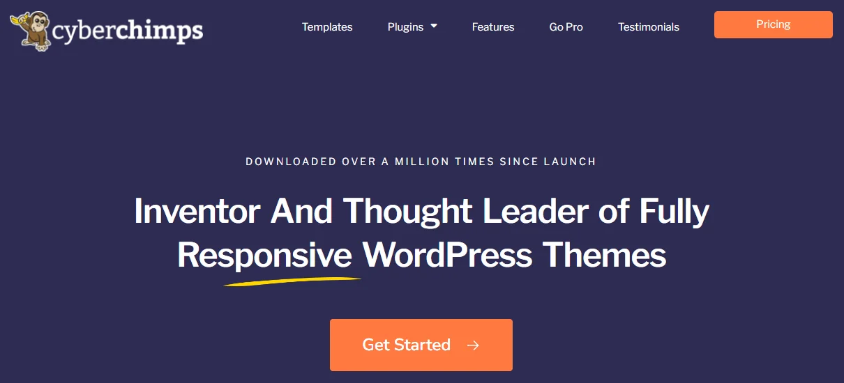 Responsive Theme