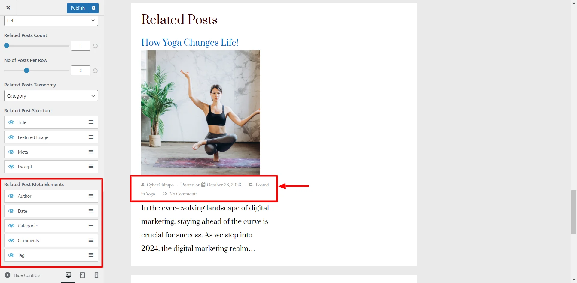 Related Post Meta Elements