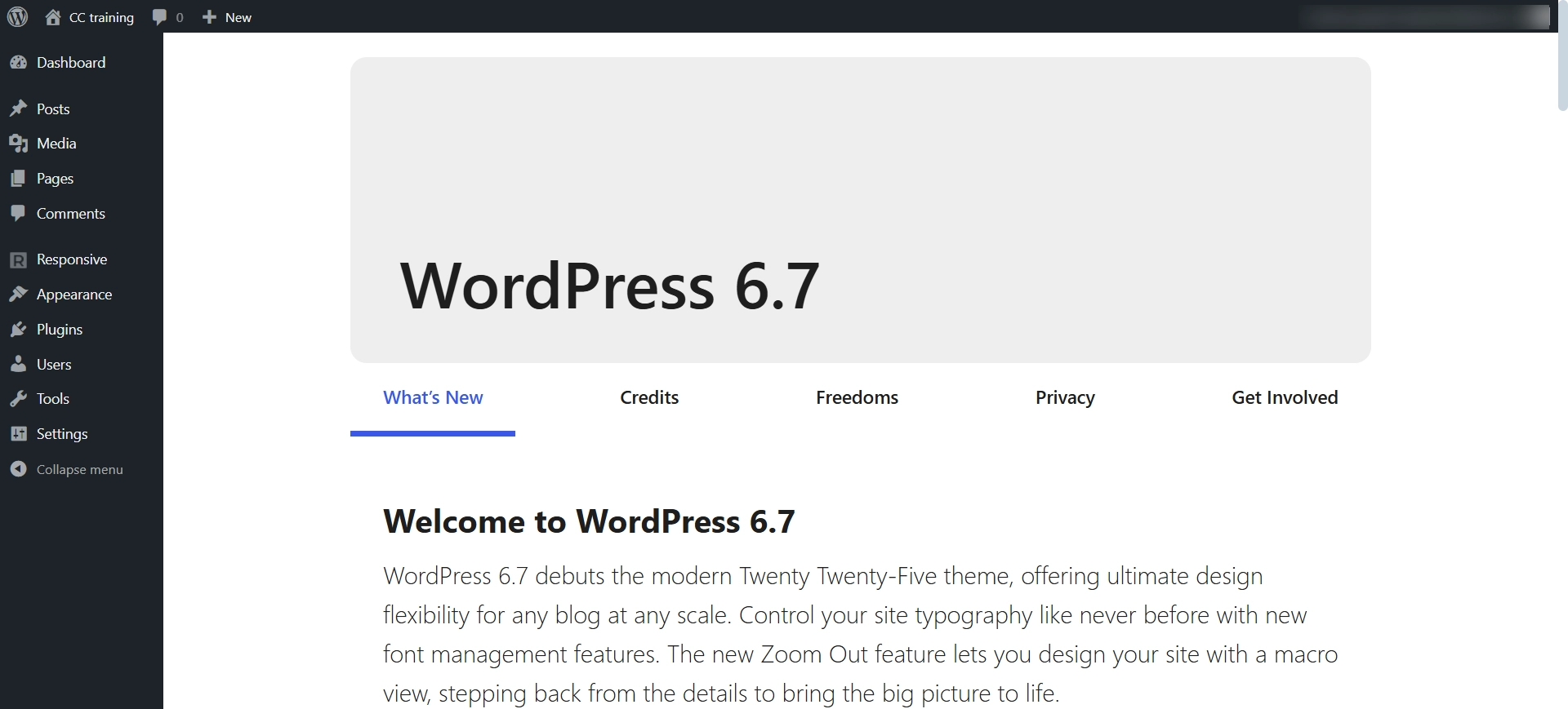 WordPress Dashboard