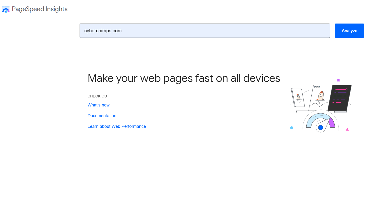 Google PageSpeed Insights