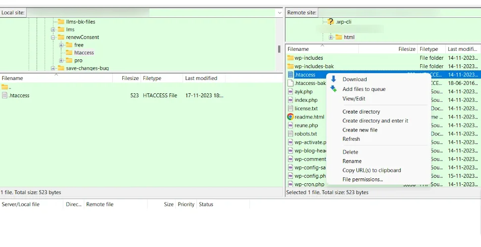 Download website files from server