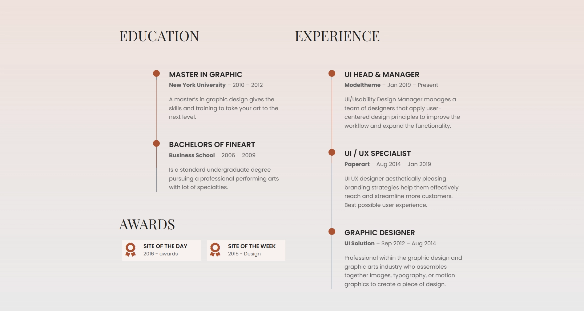 One Page CV - Experience