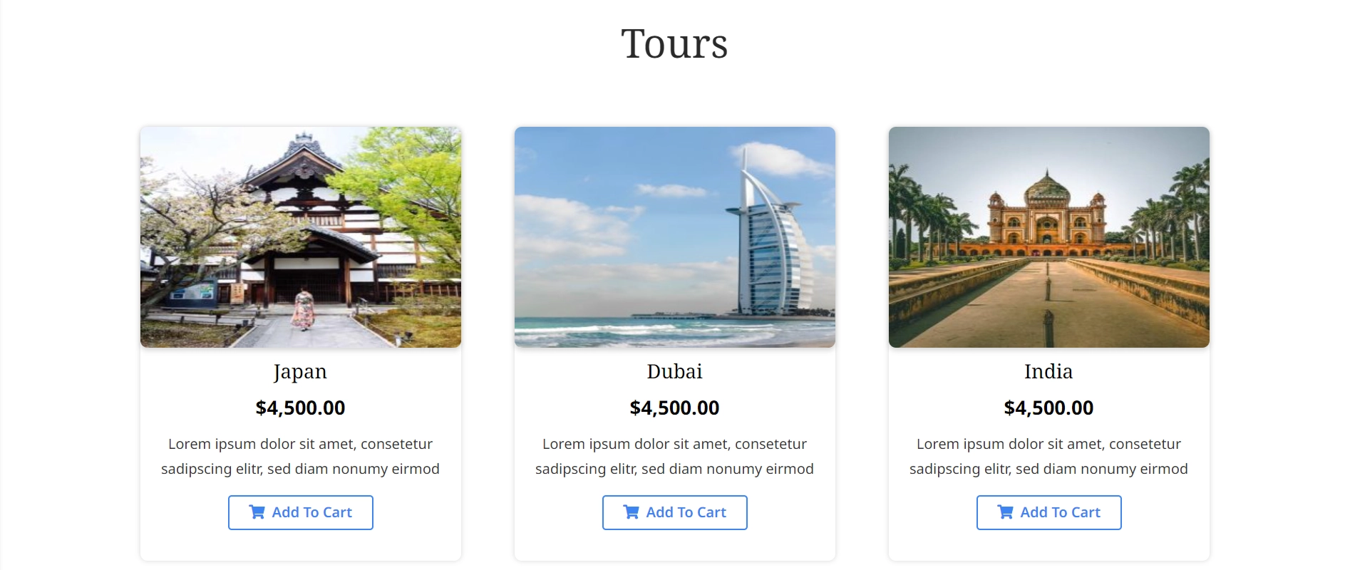 Travel Website Template