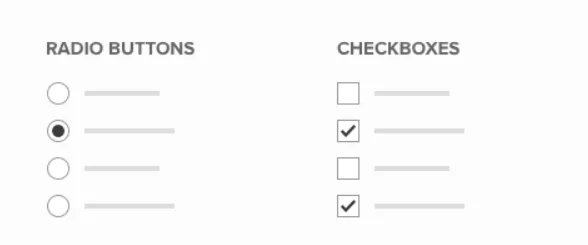 Radio and Checkbox