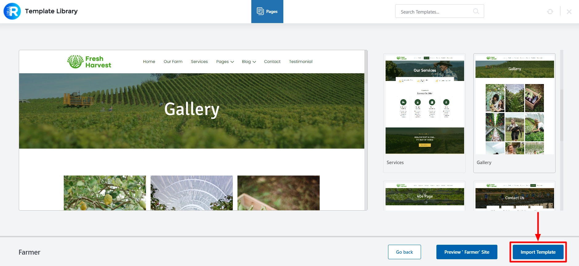 Click on import template