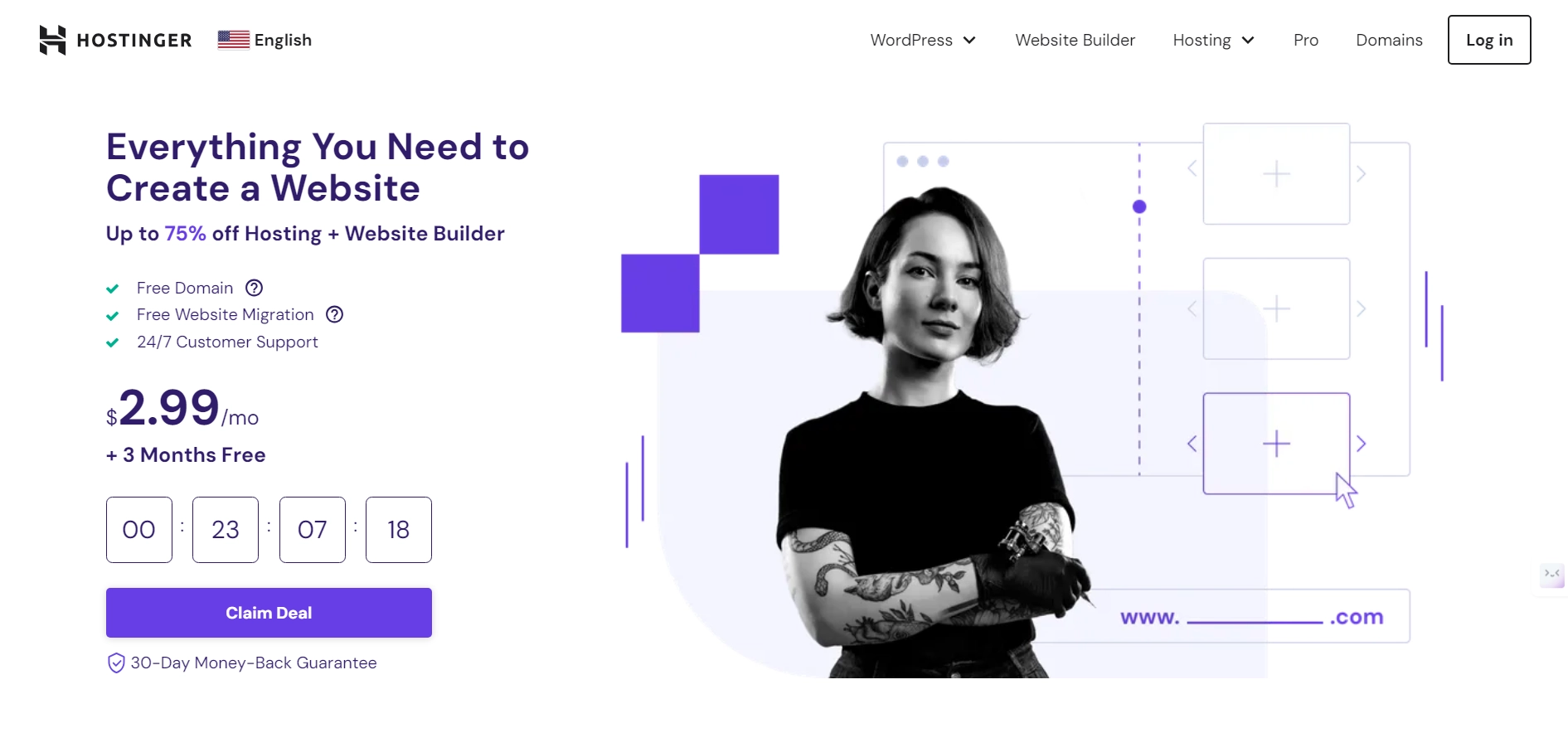 Hostinger web hosting