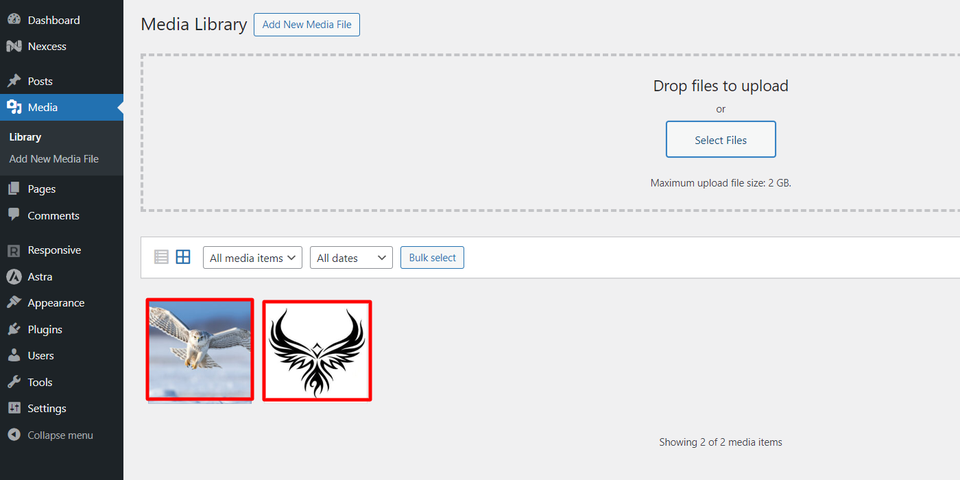 Uploading theme image and theme logo