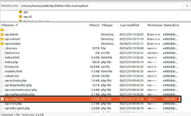 Wp config