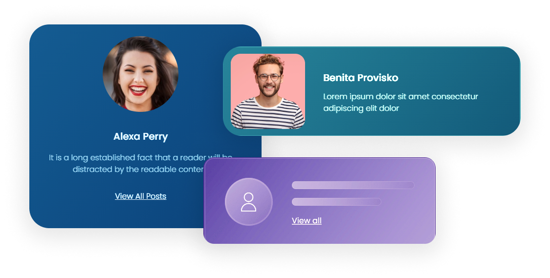 Author Box Widget