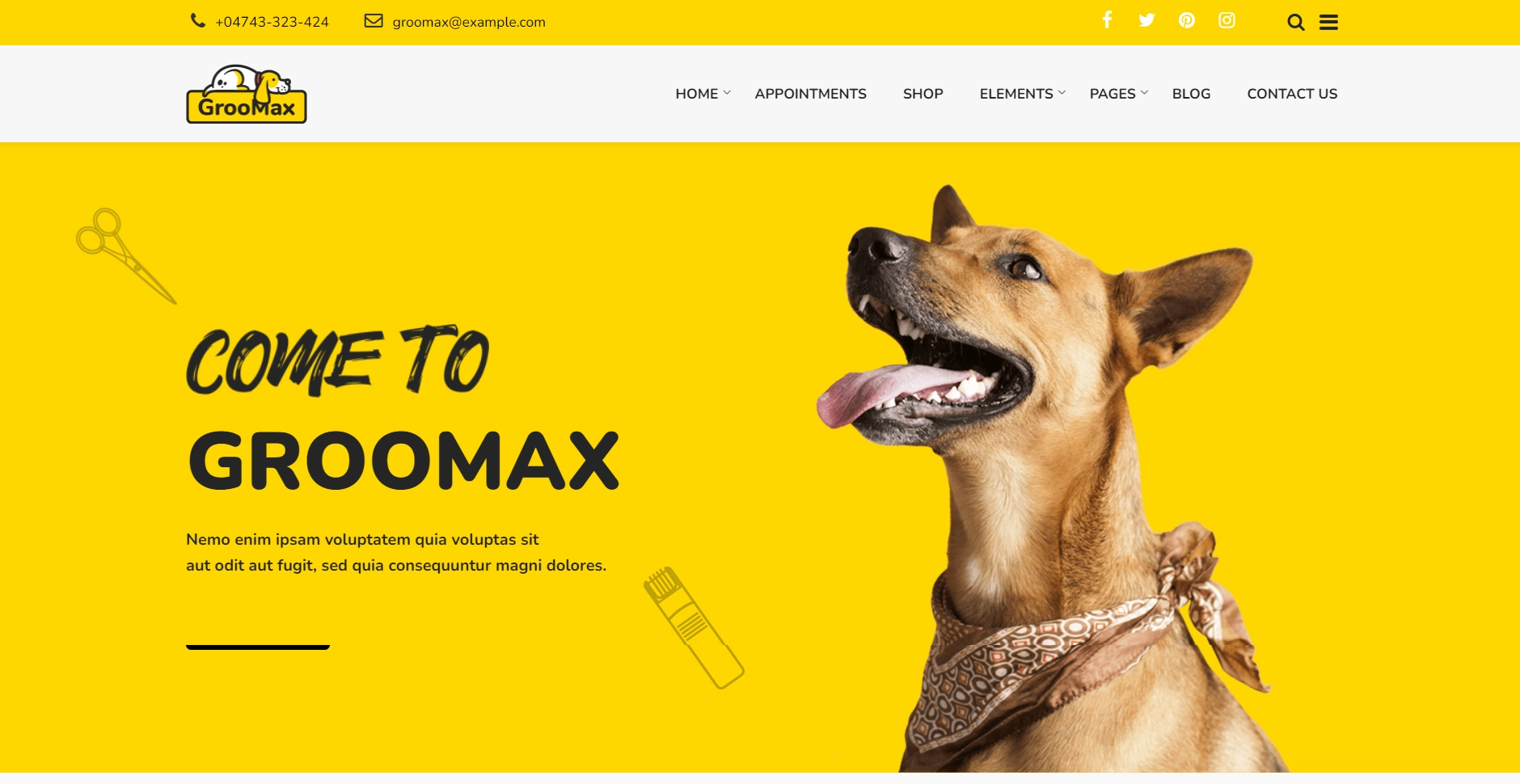 Groomax Theme