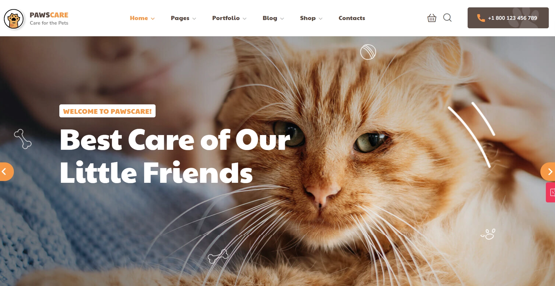 PawsCare - Pet Care & Veterinary WordPress Theme