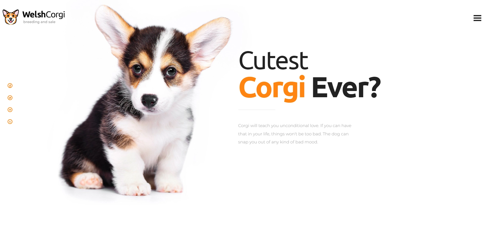 Welsh Corgi Dog Breeding and Sale WordPress Theme