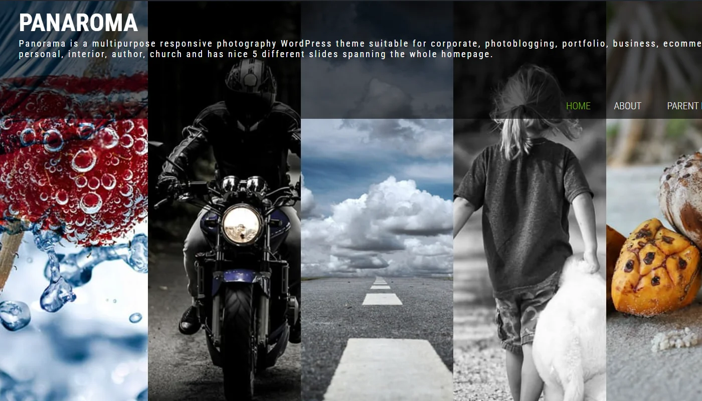 Panorama WP Theme Panorama Theme