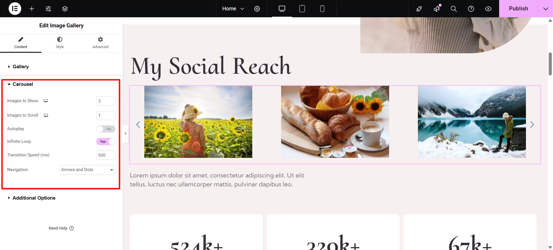 Editing gallery if layout selected is grid, masonry or justified