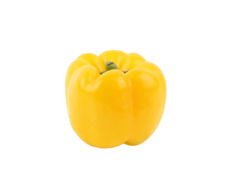 capsicum