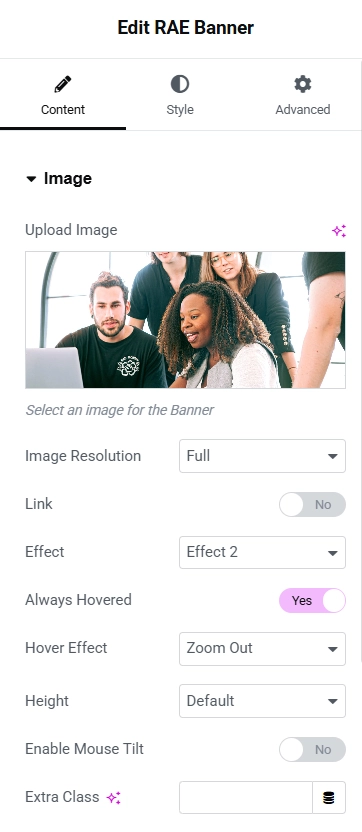 RAE widget image settings