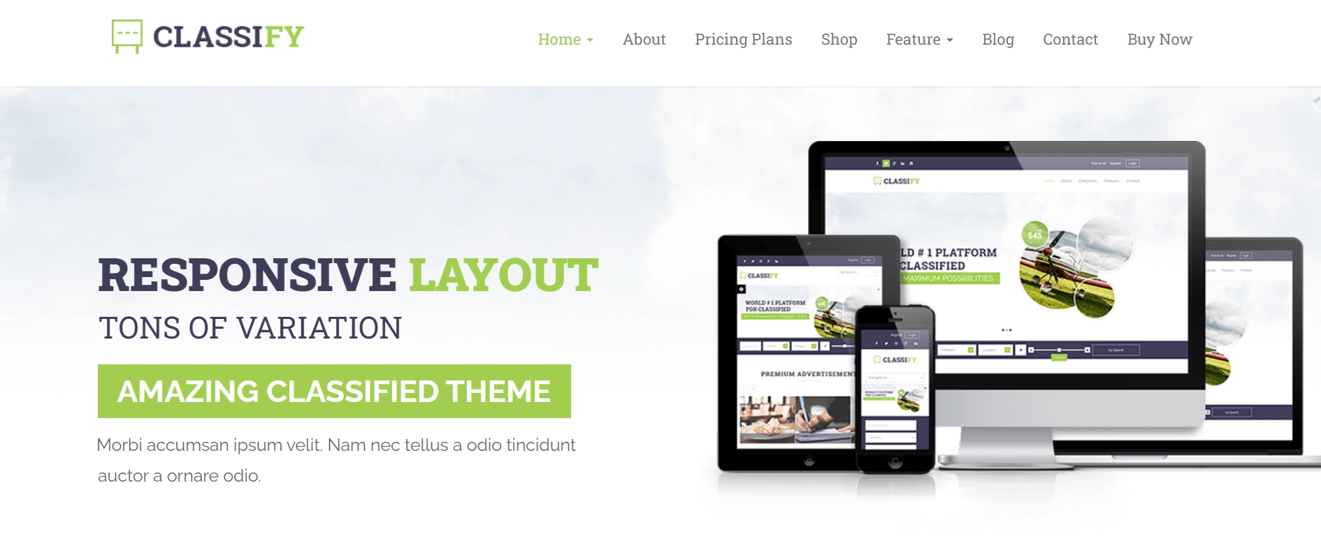 Classify WordPress Theme