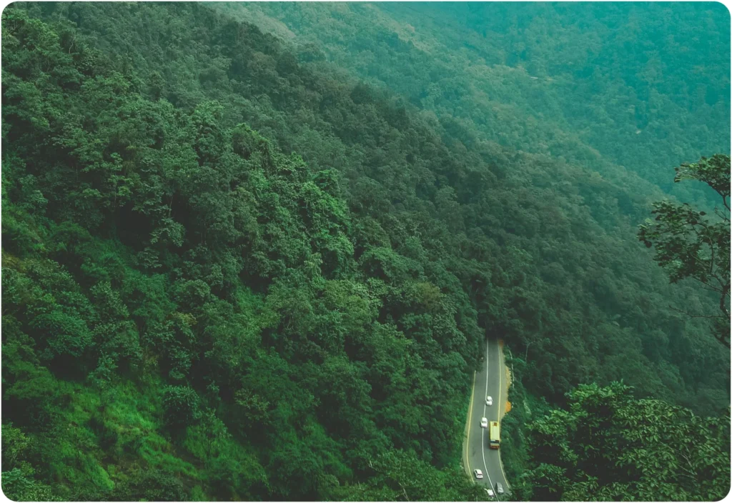 Nature