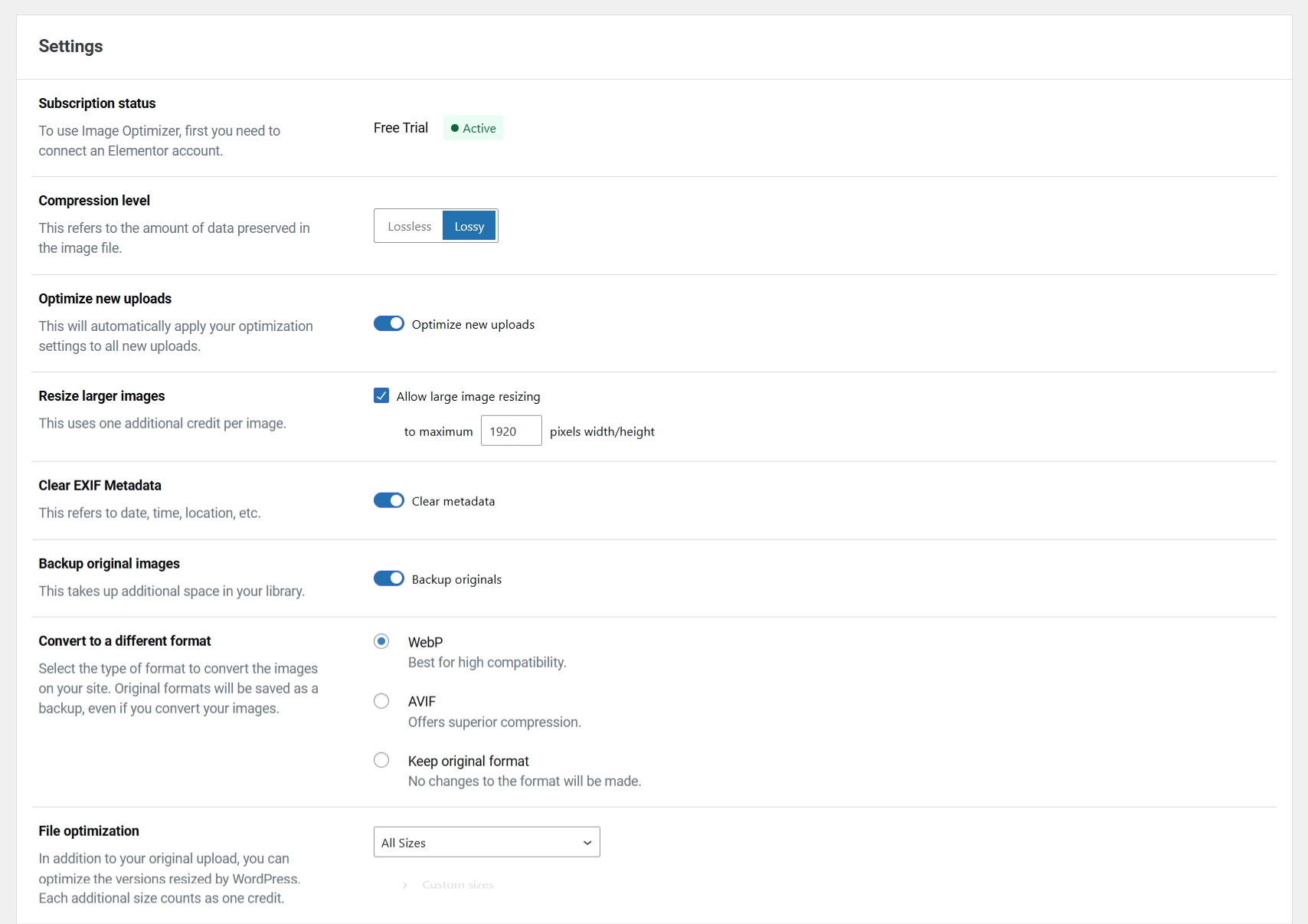 Image optimizer settings
