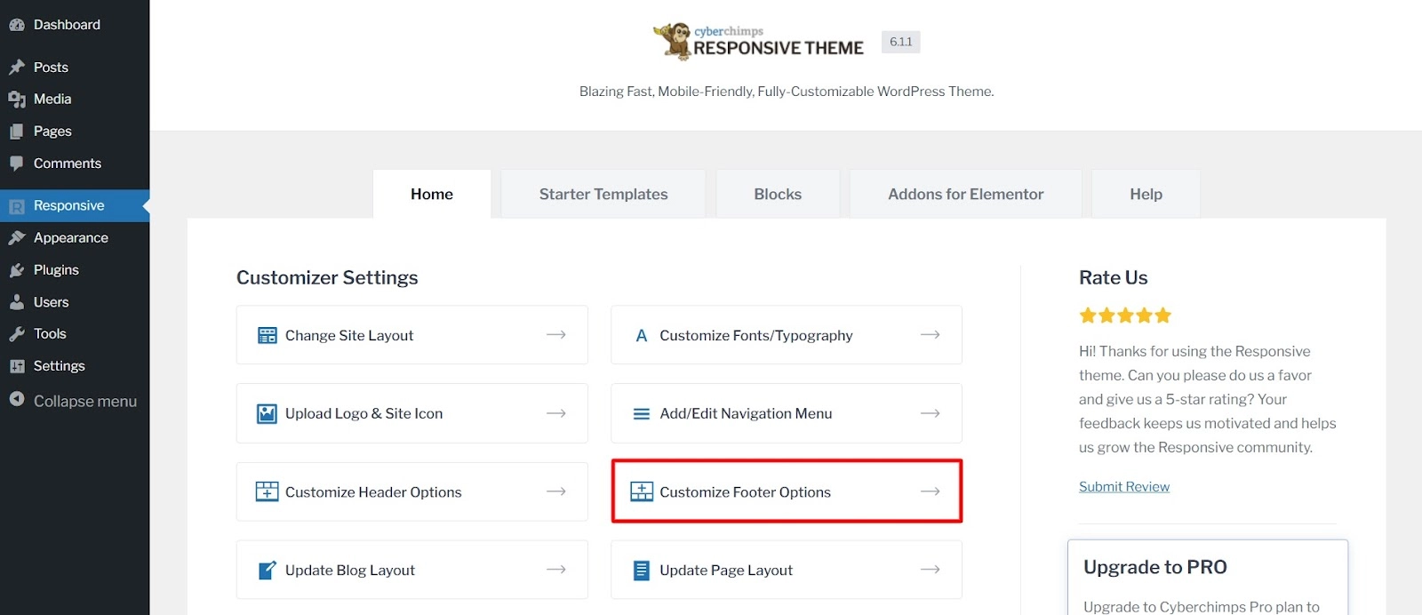 Select Customize Footer Options