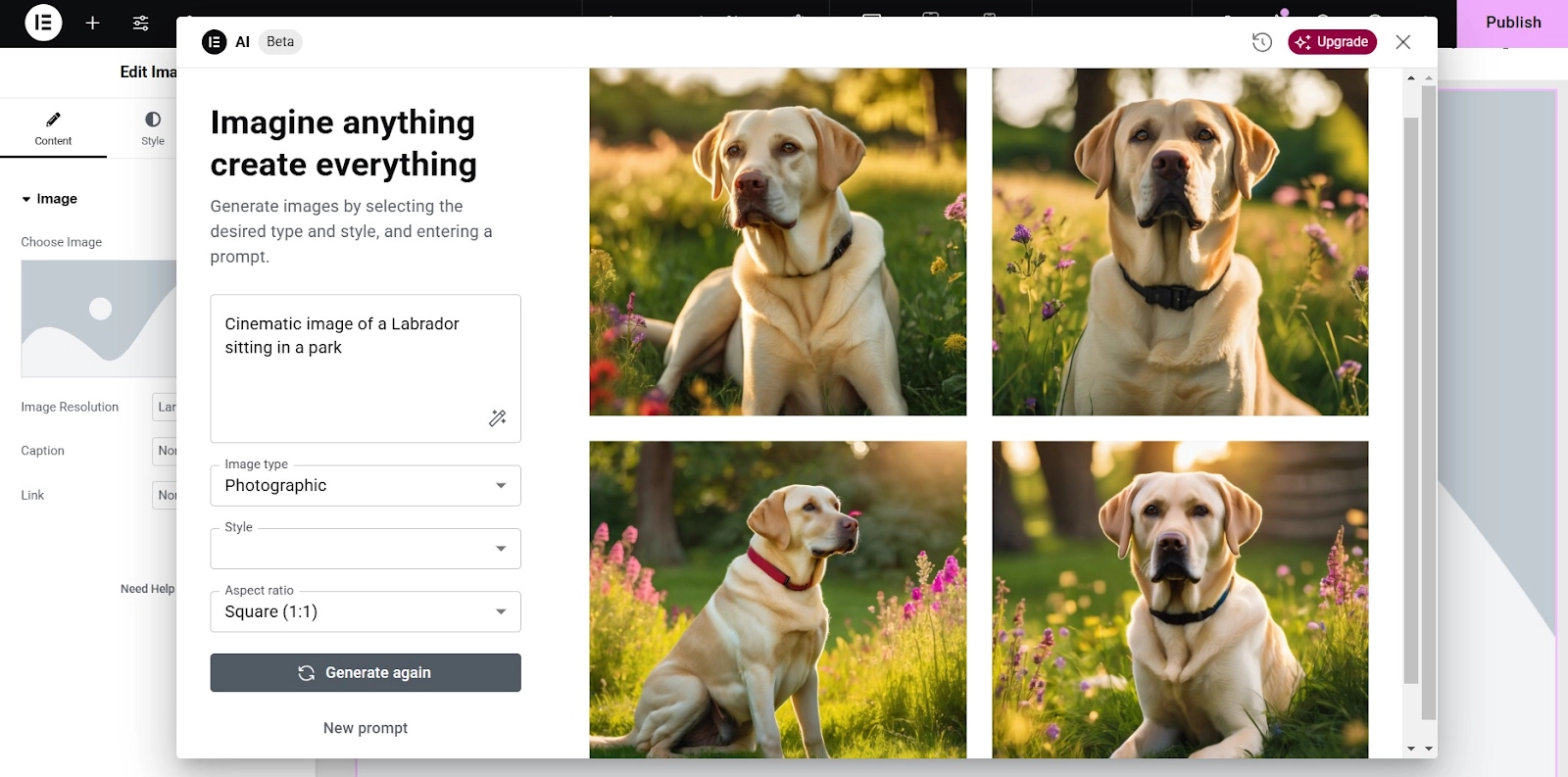 click on generate images
