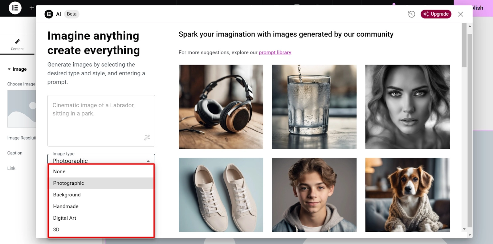 select image type
