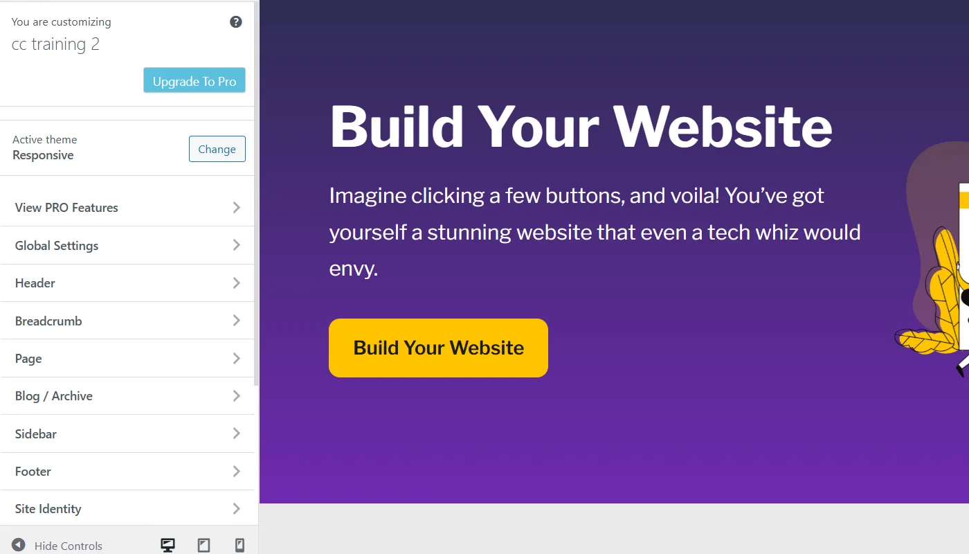 Theme customizer