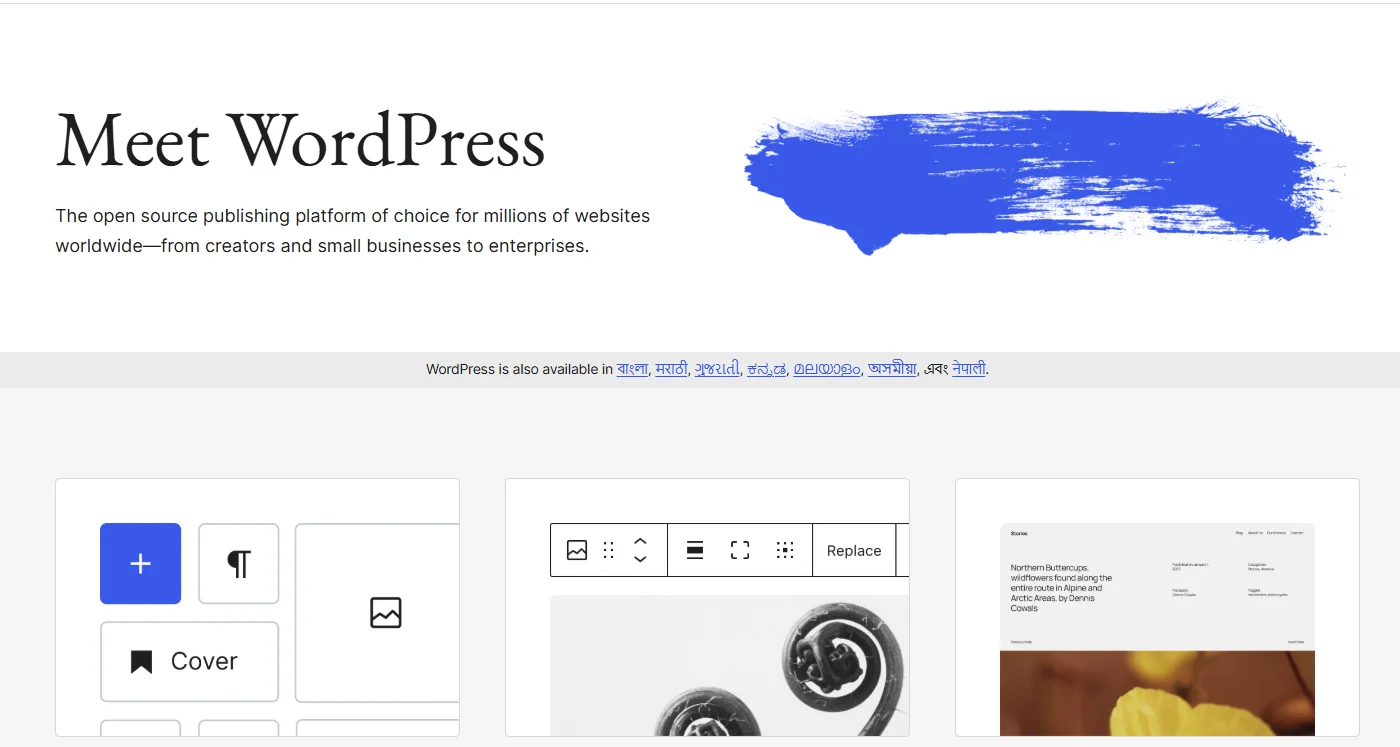 WordPress-webiste builder