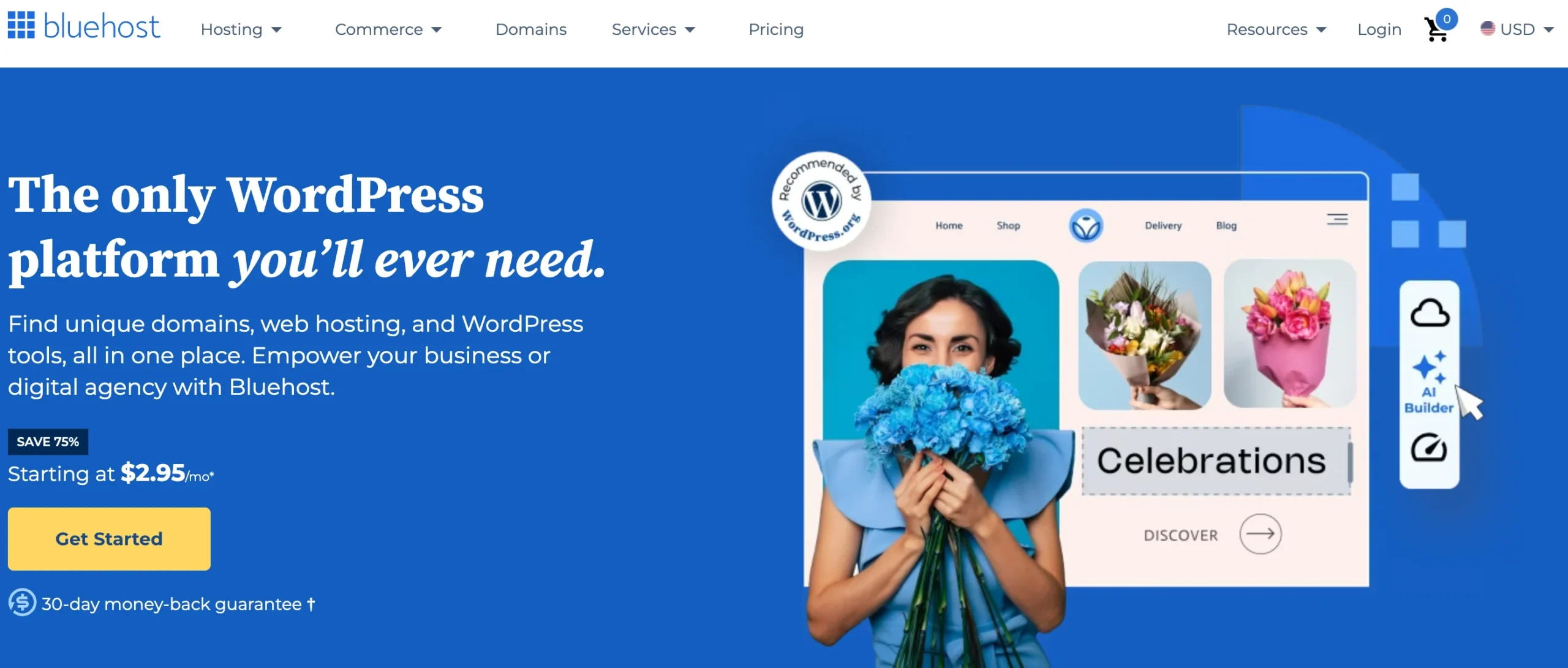 BlueHost Hosting Provider
