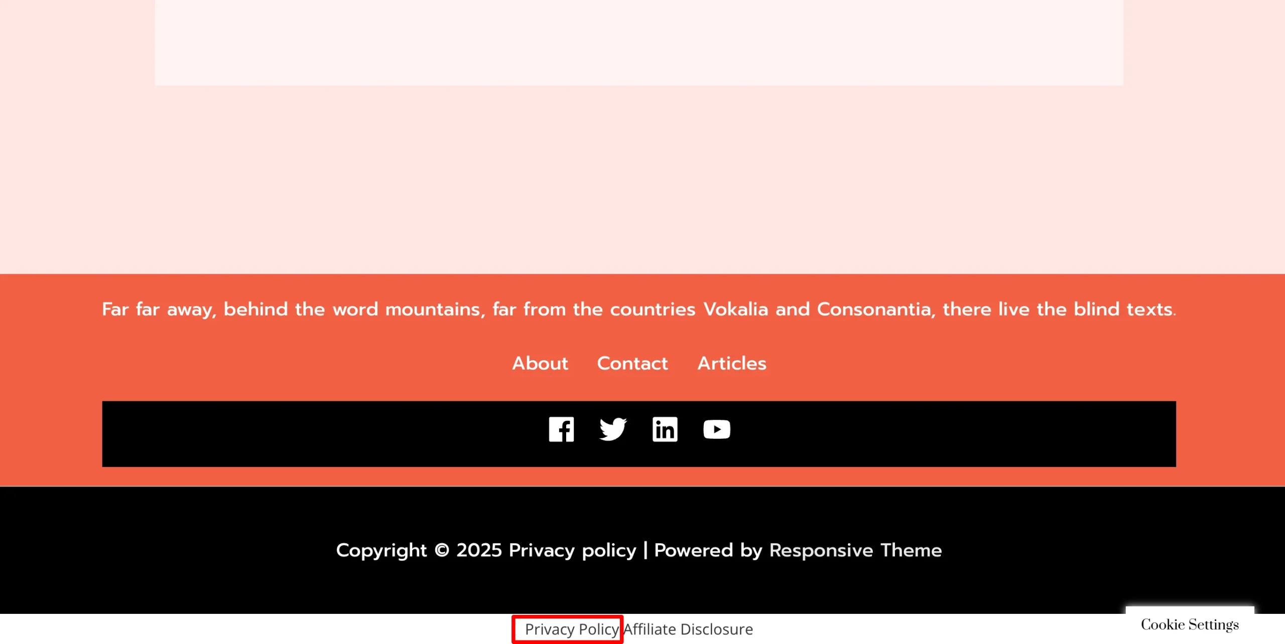 Privacy Policy at the footer of the website