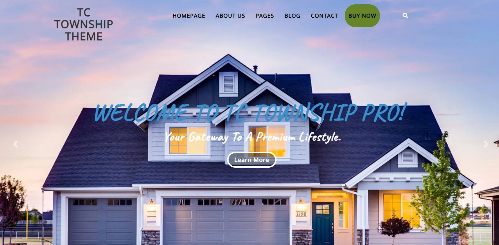 Township Lite freelance WordPress Theme